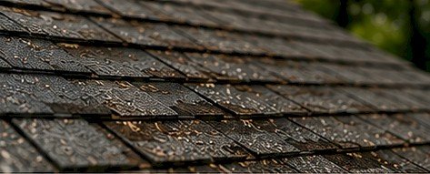 Roof and exterior wear concern